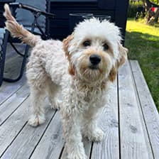 Team member Floyo-Team-25.jpg