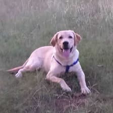 Team member Floyo-Team-26.jpg