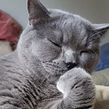 Team member Floyo-Team-28.jpg