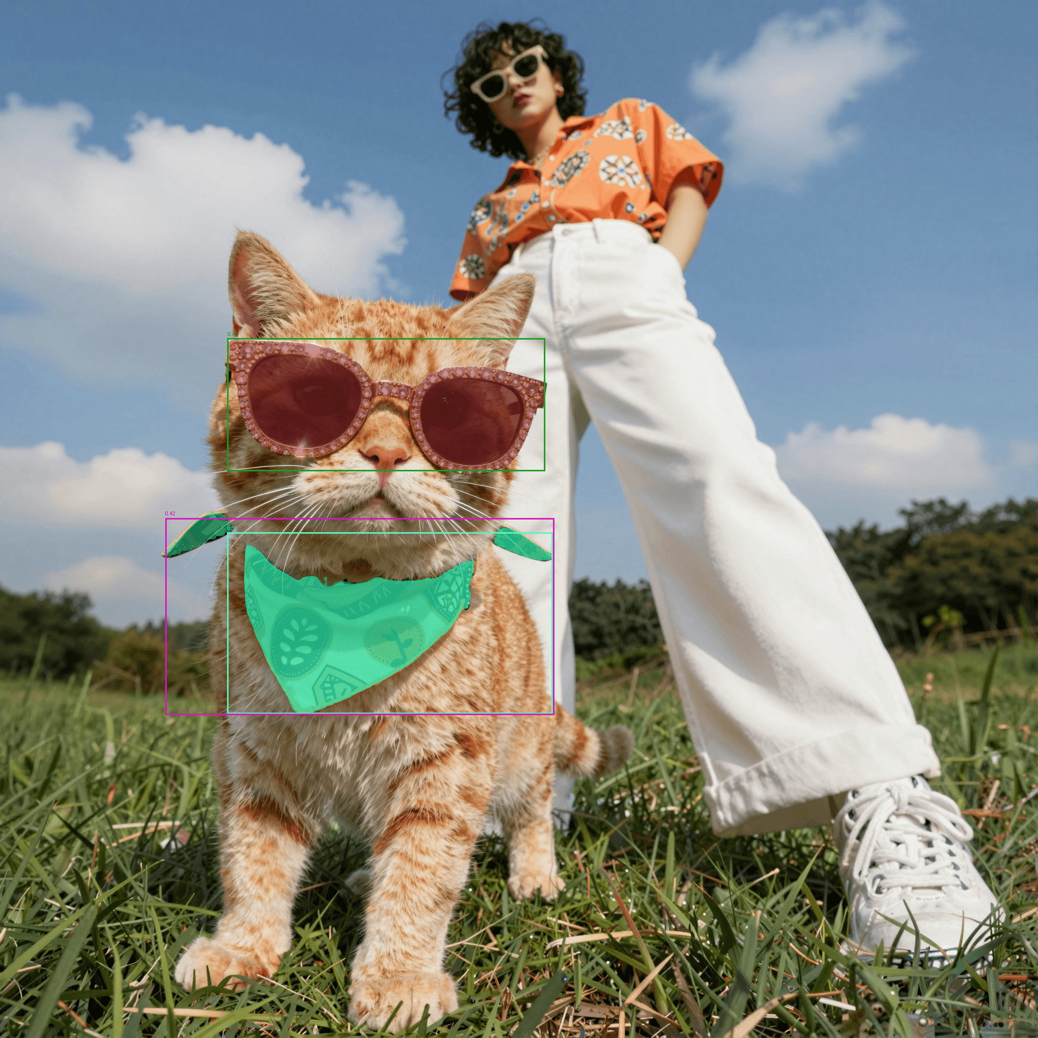 SAM3 Image Segmentation