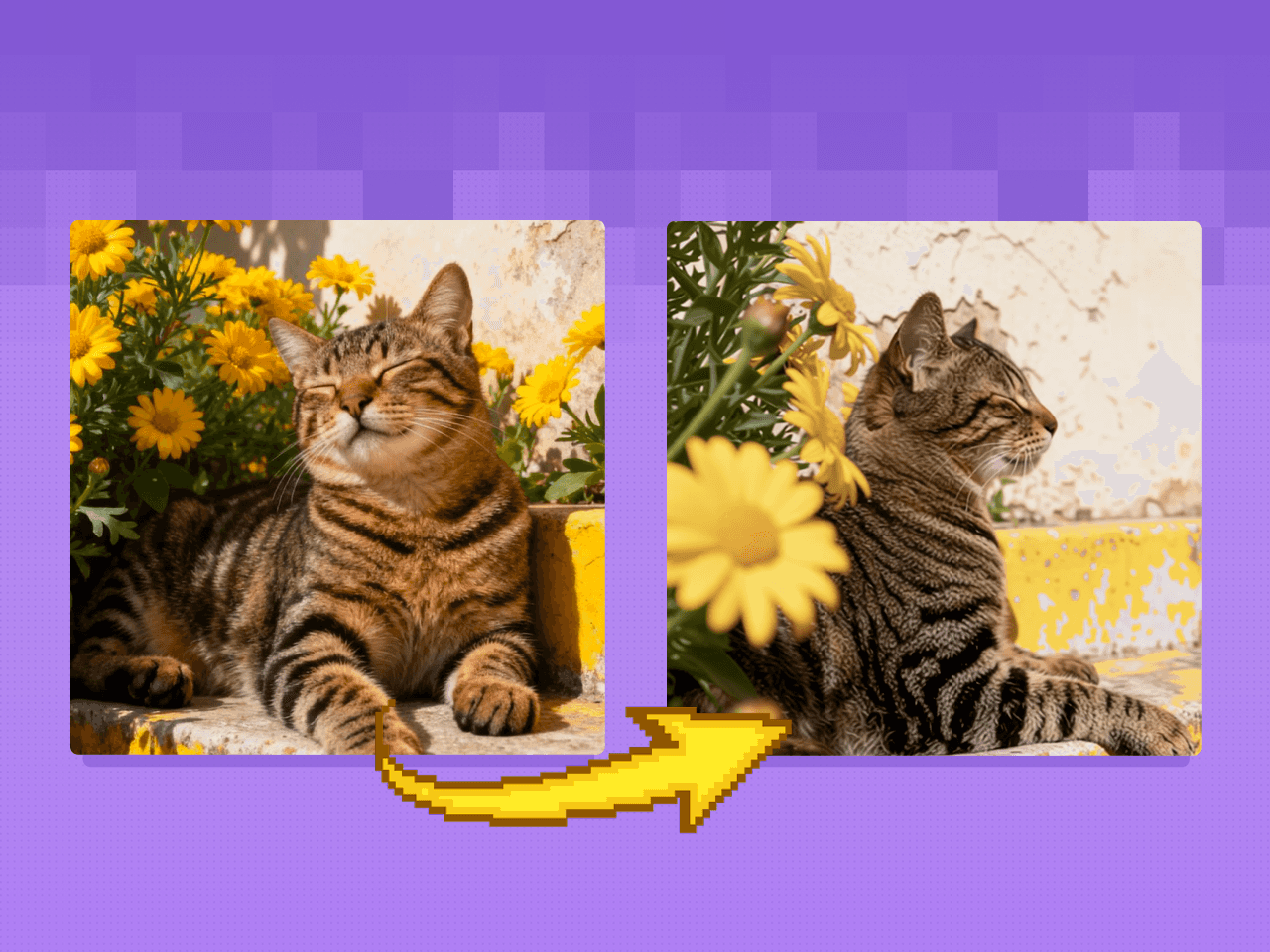 Multiple Angle LoRA and Qwen Image Edit 2509 for Dynamic Camera View