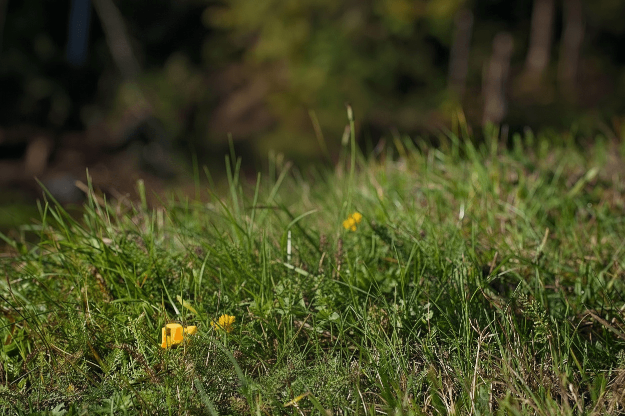 Craft Stunning Edits Instantly with Nano Banana Edit